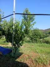 팜모닝 기타작물·영농일지 게시글 이미지