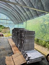 팜모닝 토마토·영농일지 게시글 이미지