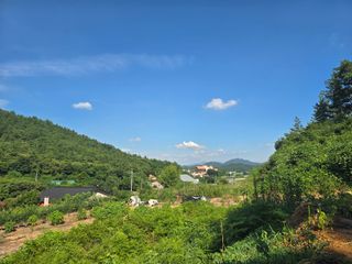 김세리님의 들깨 · 영농일지 작성글 사진