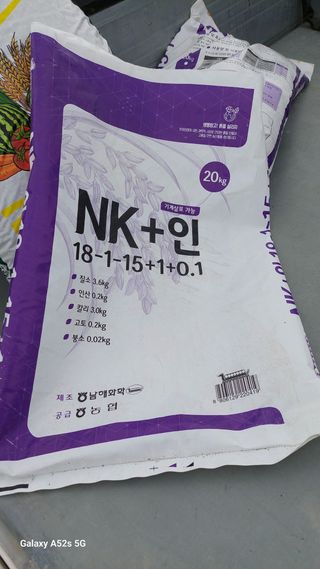 파릇파릇님의 벼 · 영농일지 작성글 사진