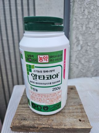 태이린팜님의 옥수수 · 영농일지 작성글 사진