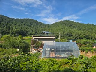 김세리님의 들깨 · 영농일지 작성글 사진