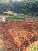 팜모닝 기타작물·영농일지 게시글 이미지