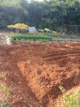 김형수님의 기타작물 · 영농일지 작성글 사진