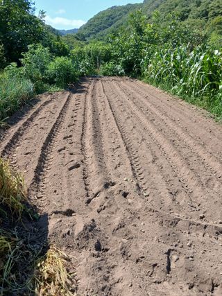 이종득님의 기타작물 · 영농일지 작성글 사진