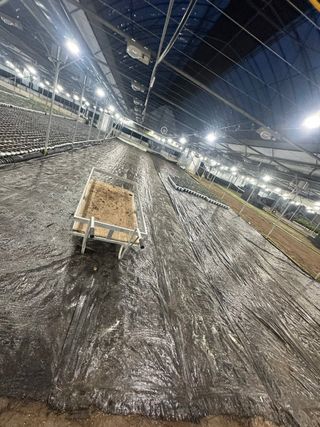 두릅나무15847님의 기타작물 · 영농일지 작성글 사진