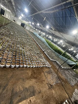 두릅나무15847님의 기타작물 · 영농일지 작성글 사진