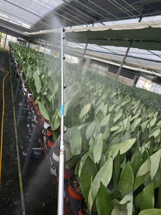 두릅나무15847님의 기타작물 · 영농일지 작성글 사진