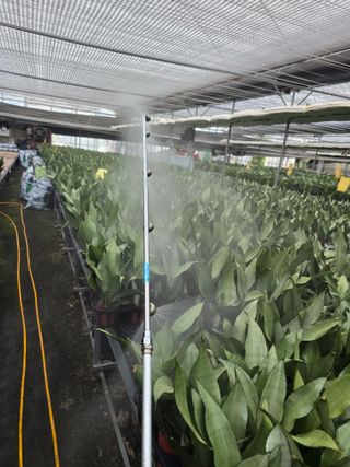 두릅나무15847님의 기타작물 · 영농일지 작성글 사진