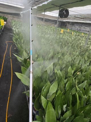 두릅나무15847님의 기타작물 · 영농일지 작성글 사진