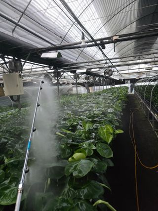 두릅나무15847님의 기타작물 · 영농일지 작성글 사진