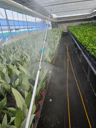 두릅나무15847님의 기타작물 · 영농일지 작성글 사진