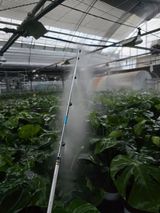 팜모닝 기타작물·영농일지 게시글 이미지