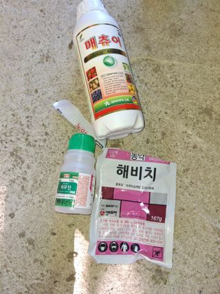 서태수님의 포도 · 영농일지 작성글 사진