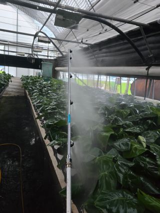 두릅나무15847님의 기타작물 · 영농일지 작성글 사진