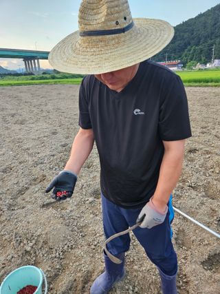 박원봉님의 콩 · 영농일지 작성글 사진