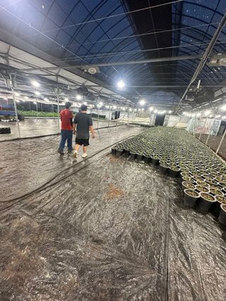 두릅나무15847님의 기타작물 · 영농일지 작성글 사진