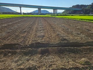 박원봉님의 콩 · 영농일지 작성글 사진