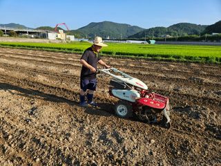 박원봉님의 콩 · 영농일지 작성글 사진