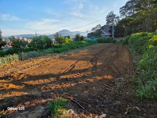 표고버섯16097님의 기타작물 · 영농일지 작성글 사진