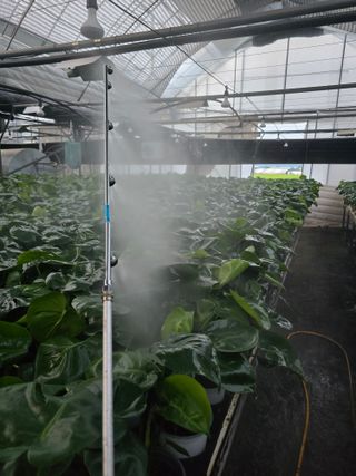 두릅나무15847님의 기타작물 · 영농일지 작성글 사진