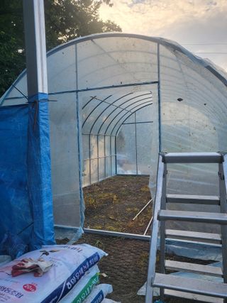 전선경님의 참깨 · 영농일지 작성글 사진