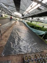 팜모닝 기타작물·영농일지 게시글 이미지