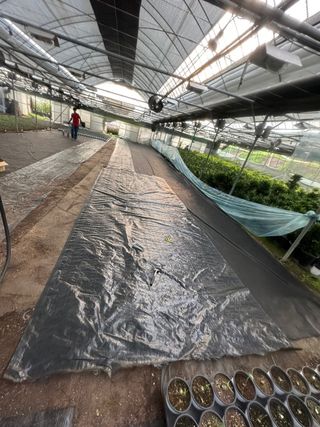 두릅나무15847님의 기타작물 · 영농일지 작성글 사진