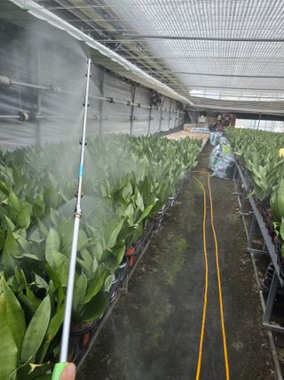 두릅나무15847님의 기타작물 · 영농일지 작성글 사진