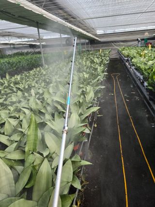 두릅나무15847님의 기타작물 · 영농일지 작성글 사진