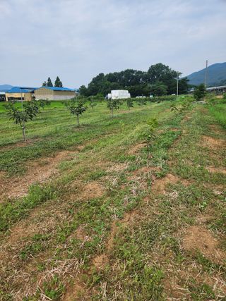 박진한님의 배 · 영농일지 작성글 사진