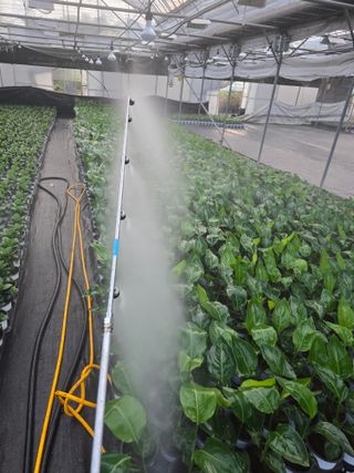 두릅나무15847님의 기타작물 · 영농일지 작성글 사진