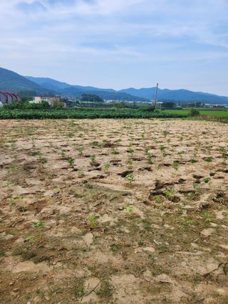 박진한님의 배 · 영농일지 작성글 사진