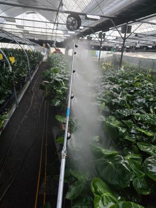 두릅나무15847님의 기타작물 · 영농일지 작성글 사진