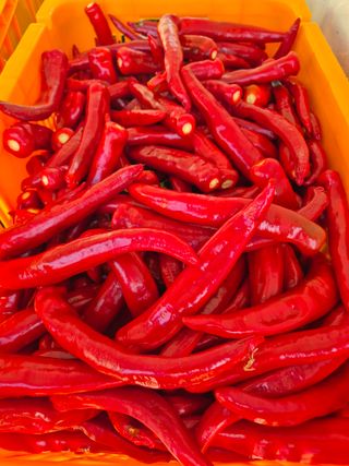 김연숙님의 기타작물 · 영농일지 작성글 사진