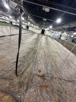 두릅나무15847님의 기타작물 · 영농일지 작성글 사진