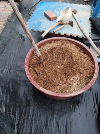 박치문님의 블루베리 · 영농일지 작성글 사진