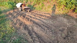 촌사리님의 기타작물 · 영농일지 작성글 사진