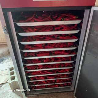 김진영님의 고추 · 영농일지 작성글 사진