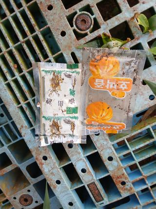 김형수님의 기타작물 · 영농일지 작성글 사진