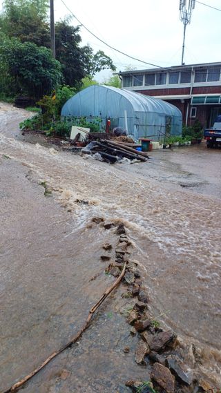 이순기님의 감 · 영농일지 작성글 사진