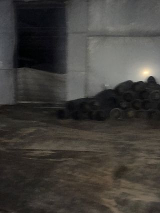 두릅나무15847님의 기타작물 · 영농일지 작성글 사진