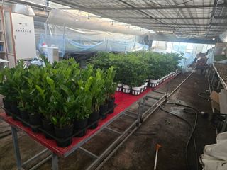 두릅나무15847님의 기타작물 · 영농일지 작성글 사진