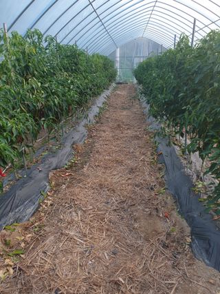 샤이니바다님의 기타작물 · 영농일지 작성글 사진