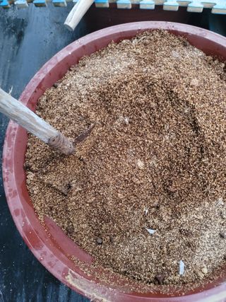 박치문님의 블루베리 · 영농일지 작성글 사진