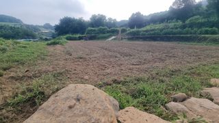 촌사리님의 기타작물 · 영농일지 작성글 사진