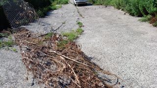 이순기님의 감 · 영농일지 작성글 사진