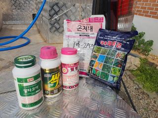 오이8898황산면님의 고추 · 영농일지 작성글 사진