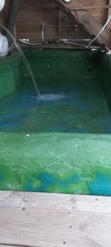 팜모닝 기타작물·영농일지 게시글 이미지