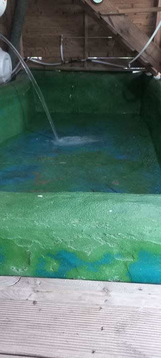 정석채님의 기타작물 · 영농일지 작성글 사진